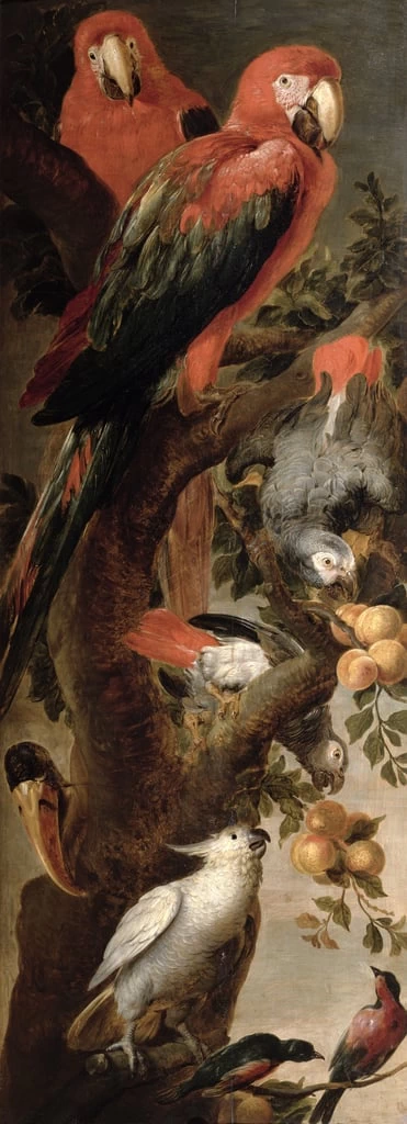 Ara e papagalli - Trustees of Holkham Estate, Norfolk